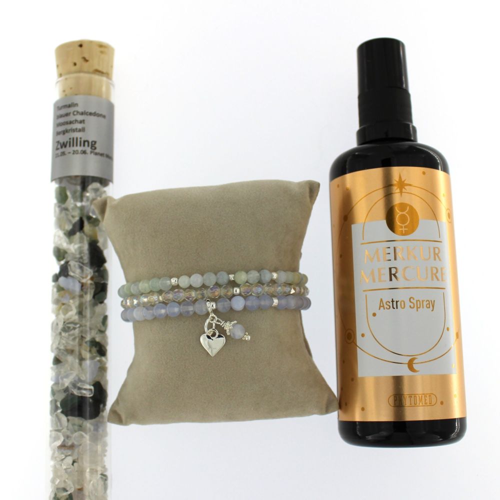 Geschenkbox Zwilling